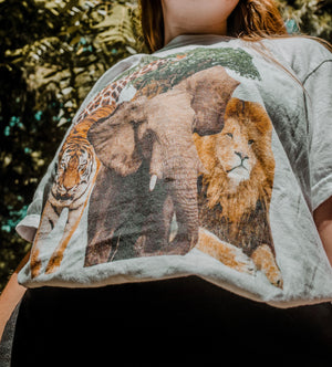 Animal Kingdom garment-dyed heavyweight t-shirt (Comfort Colors)